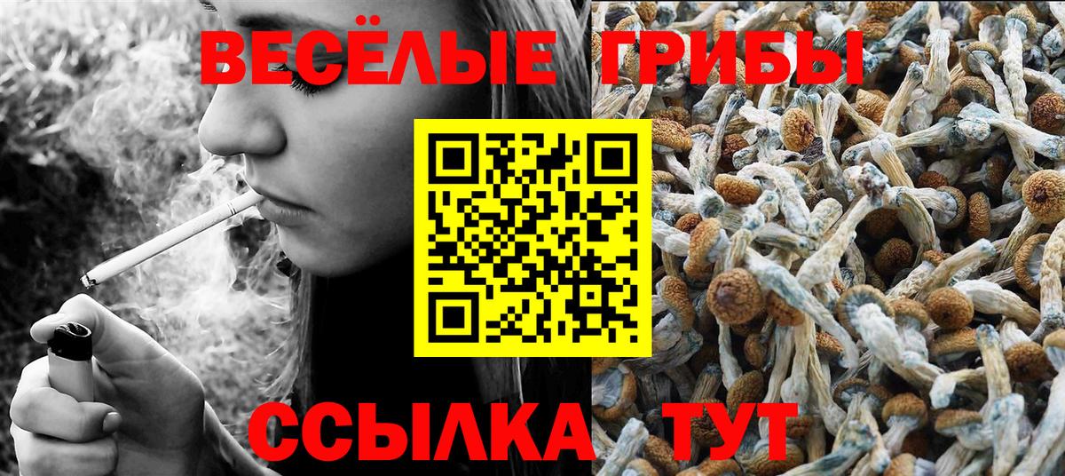 Гай  купить наркотик  Вход с VPN  Псилоцибиновые грибы Magic Shrooms  Галлюциногенные грибы Cubensis 