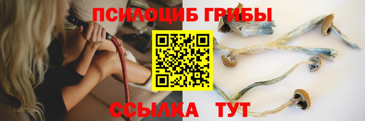 Псилоцибиновые грибы мицелий Гай